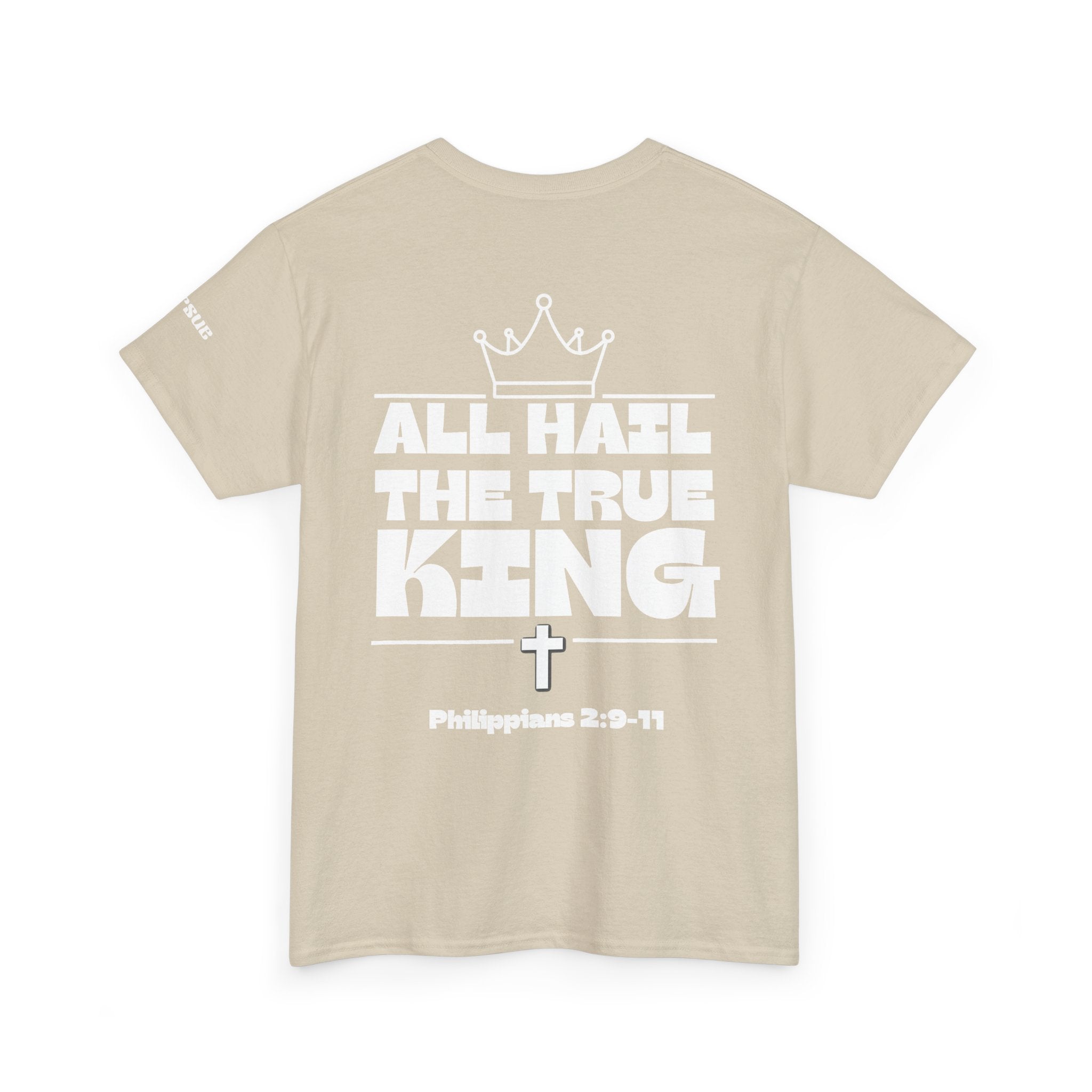 ALL HAIL THE KING Tee- Christian Philippians T-shirt